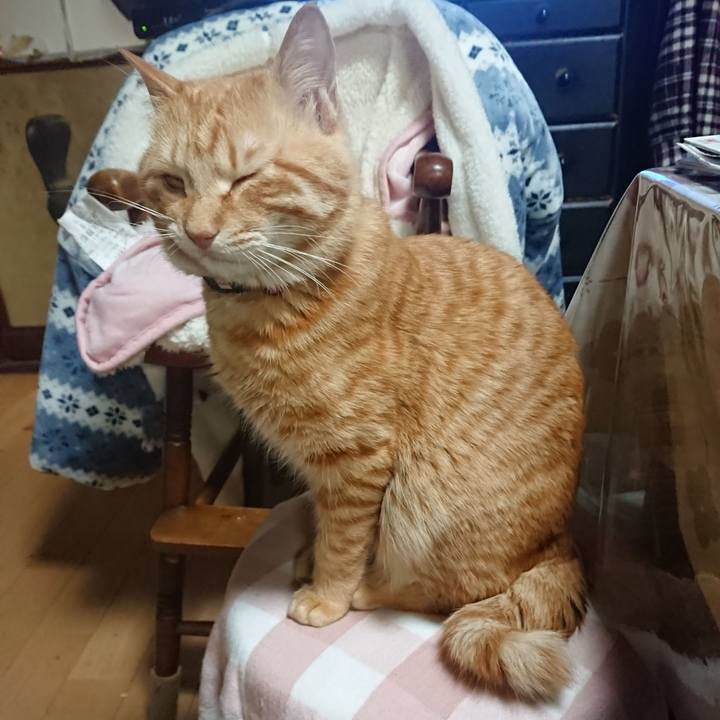 436e8a05 813a 4058 b9fe eb073de20caa 1645183989038