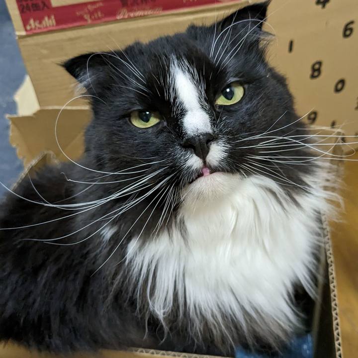 436e916d 10ca 487c 83cb 22dad04d6fb3 1681387127893