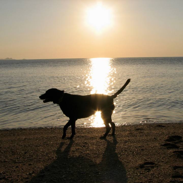 436ea4ac 3a38 4b9d b8f0 58e4409cd0b4 1716731917133