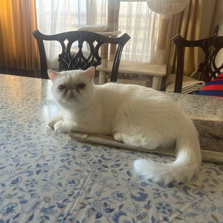 436f096c 0549 48fc 9477 00cb1faa3291 1756510947077