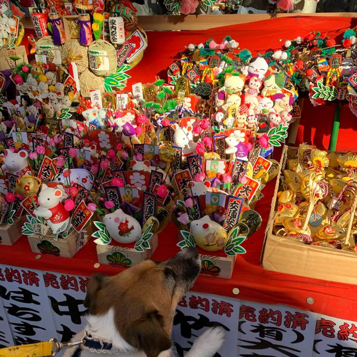 436f0e5f 9c15 45ac 9bce 7bde7f9d45eb 1575784705727