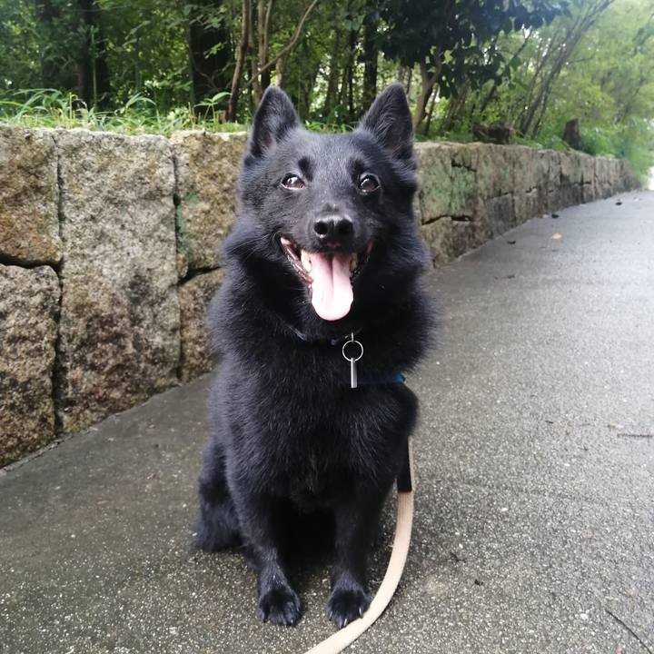 436f222b 7ed5 4721 9227 03c1a14b62de 1625870271873