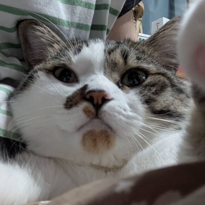 436f388e fe4e 4a72 adba 2c6151e4aa98 1753358527165