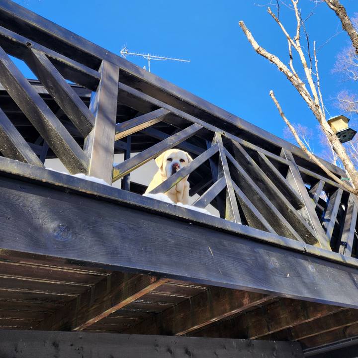 436f3d8a ebd4 425c 9662 a43ae357ef45 1767000590684