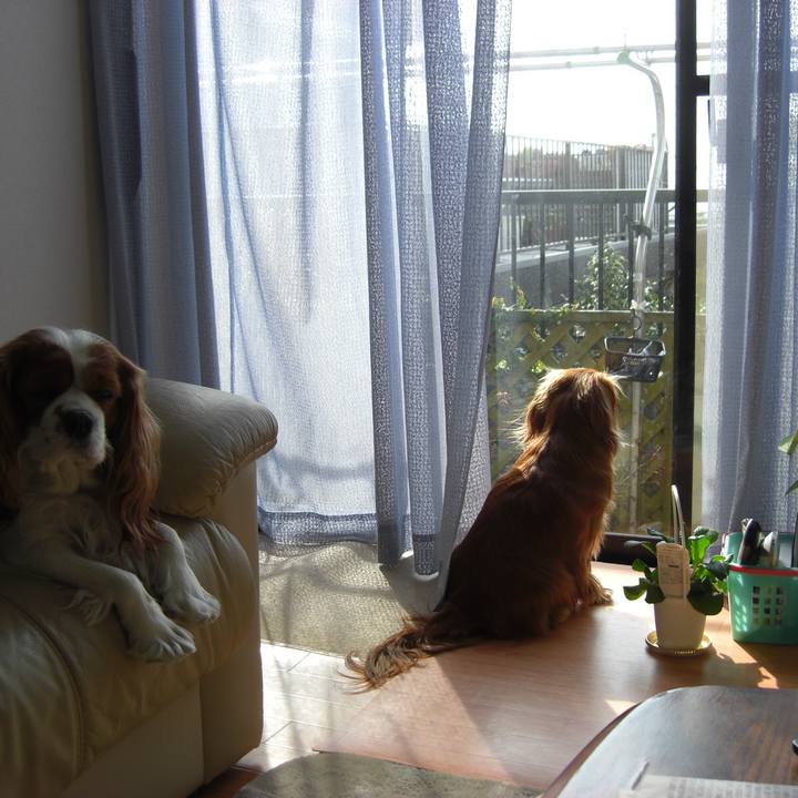 436f48d5 a54c 4718 95a2 921945f15557 1565967054797