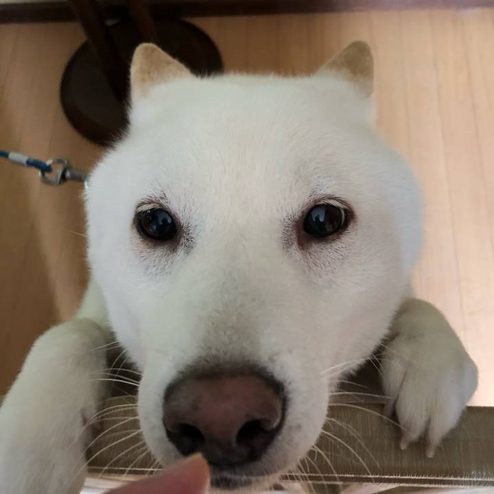 436f6b18 dec4 4a76 a81b aa9177f1dfa1 1593824595571