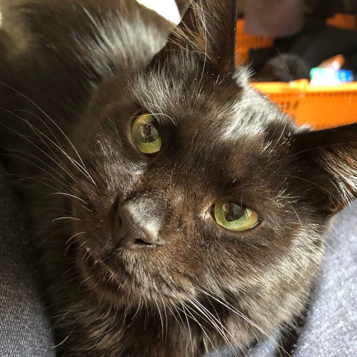 436f7f46 8300 4951 b919 27d630132b32 1572049843793