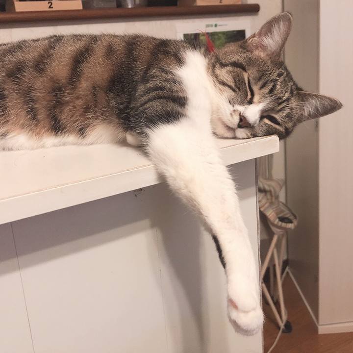 436f8ecb b820 44a2 ad84 51ee812ae666 1565392000657