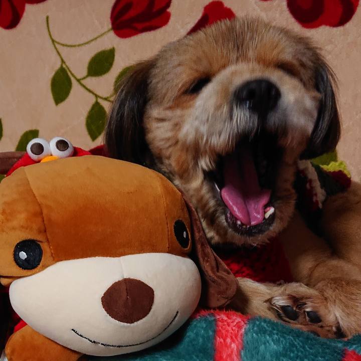 436fb30c f91d 4228 9950 1106951e5afa 1548946225430