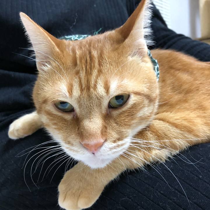 436ff1bc cdb1 41df a0dd 7cd5fed83ccf 1579038520242