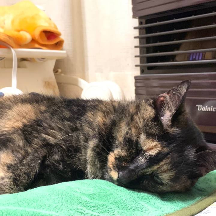 43700bac c185 4874 a881 3a7c24d5aeab 1552650522948