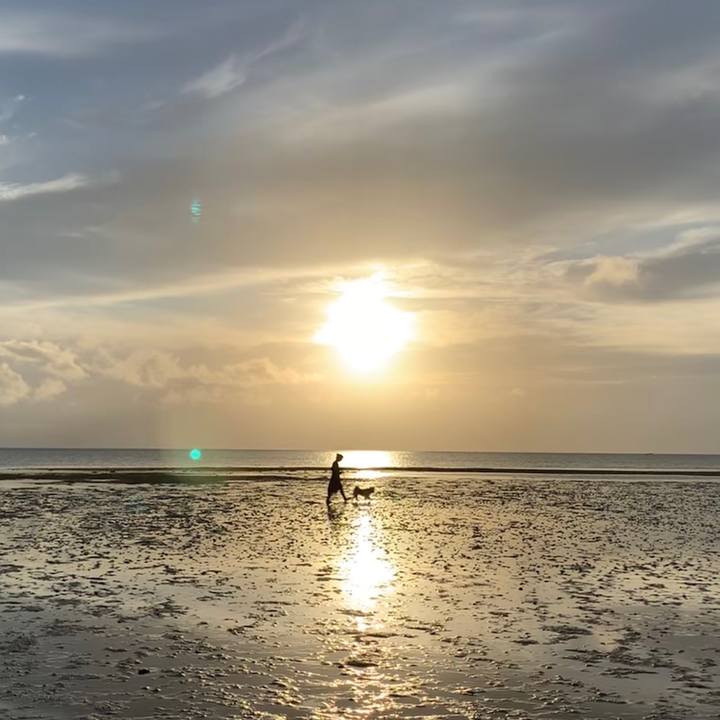 43703b52 2e92 48ac 9566 8419b18cc823 1559914817211