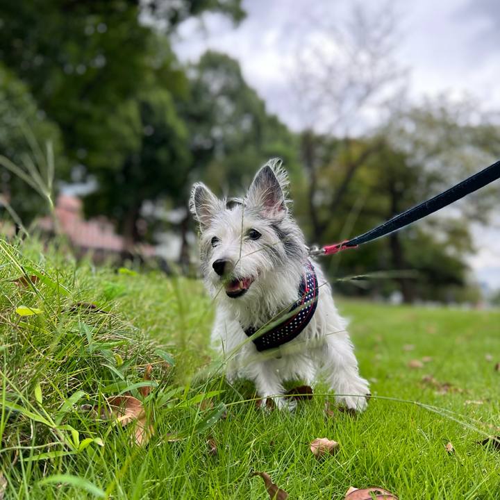 43703c6e 07cb 4464 a2c9 ff7c4064cce5 1665316782453