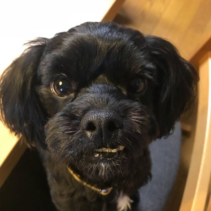 4370ca71 bd43 4a0d 8b19 cb2bfc428ba3 1536199080583