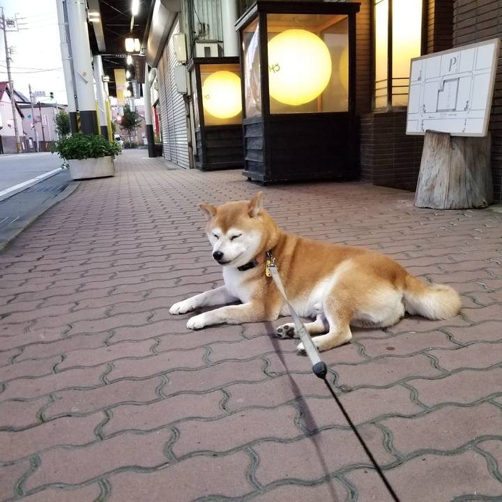 4370e366 cdad 4772 b2ae f0236d844846 1567847813351