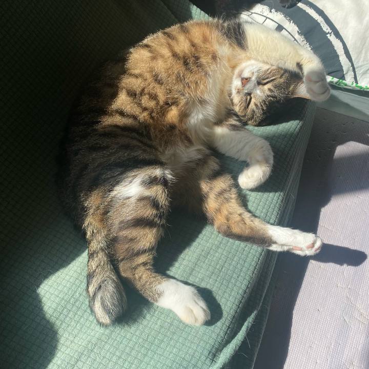 4371011c 493a 4c4d 82da 926a61f6cc2a 1664070598942