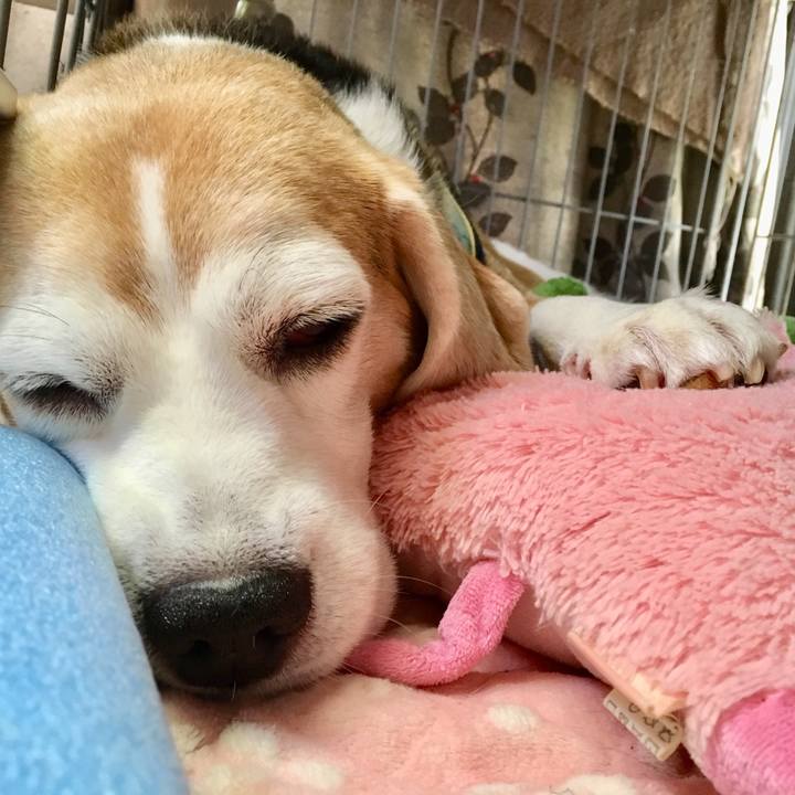 43710a54 6970 4d55 baff c1f404f1265d 1567307611599