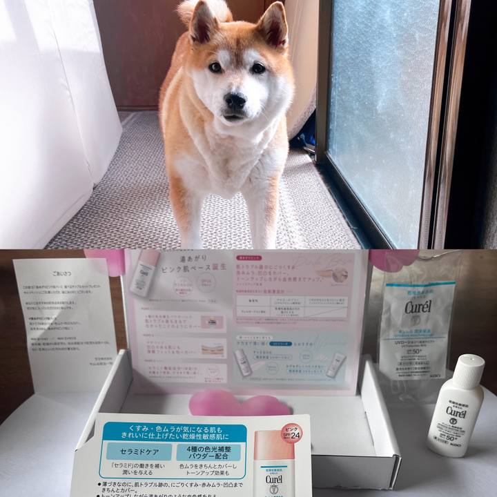 43712549 4180 4048 8fef 0ff1b8d22333 1712559973151