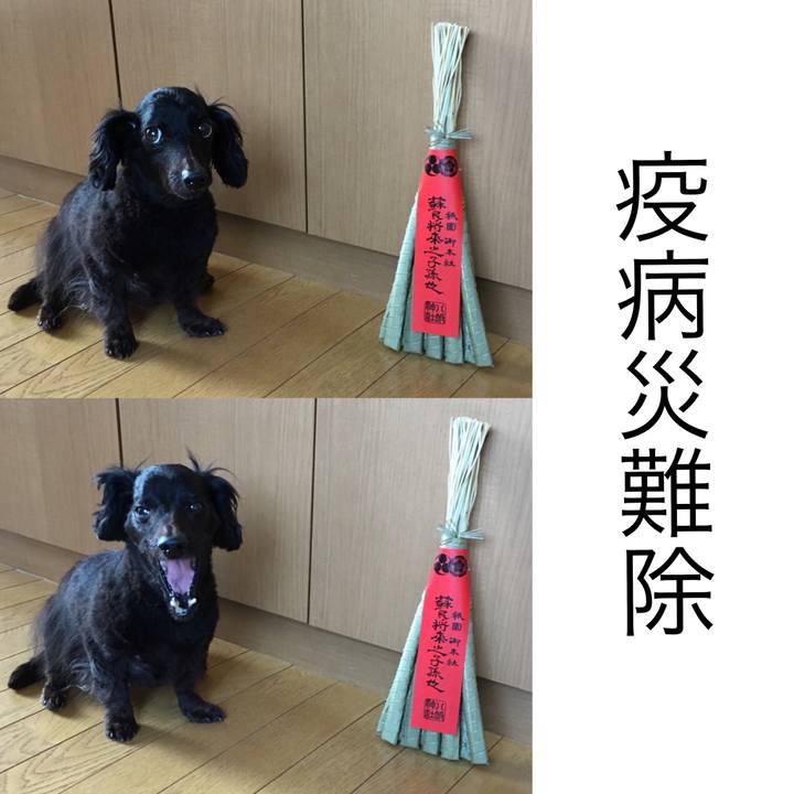 4371611d 35c1 4789 8917 895136bb34e1 1533039206409