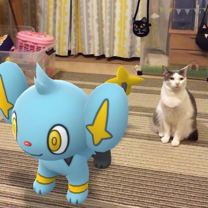 437181f4 bb8f 4e70 a283 4591d94b311c 1558095319437