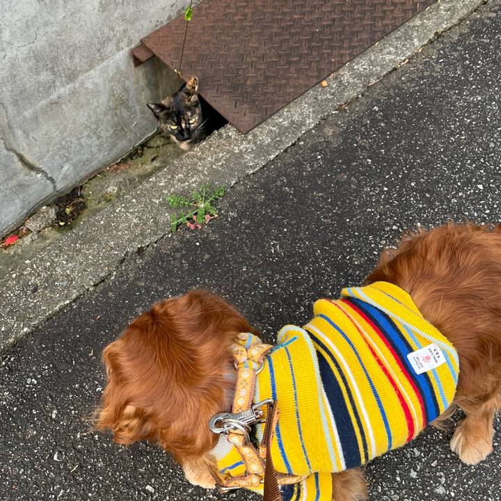 437190c8 61ba 42ce af13 c2722ff41b57 1763510811501