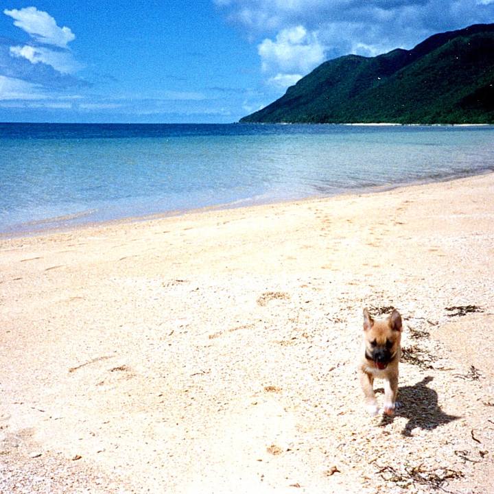 4371a4d7 c2b8 4c74 aff4 1b07e3cc5584 1533890175895