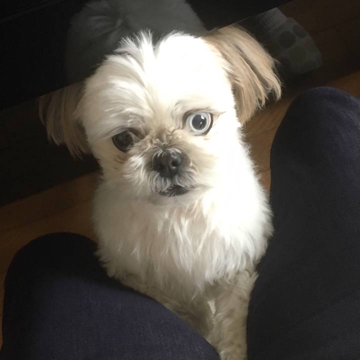 4371d9a6 6d2b 482a 9674 04bc181bfd3d 1524979031676