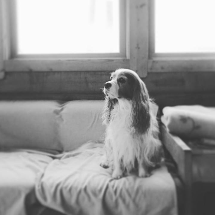 43722385 b923 4460 a352 d174c9da9dfc 1556235322454