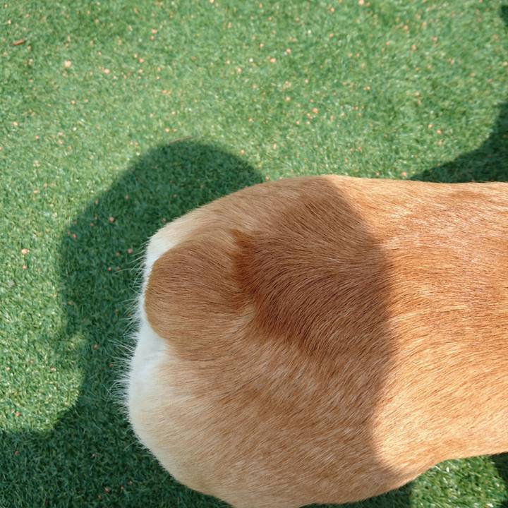 43724a5b 857c 4e5d 8073 10577fa8b90c 1585897747528