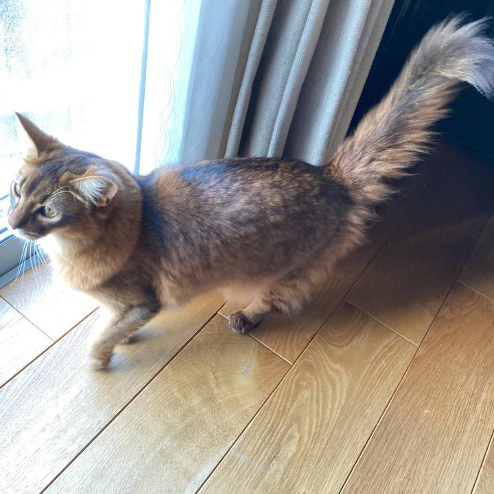 43724f77 cf72 4be4 acff 137809937878 1618799788041