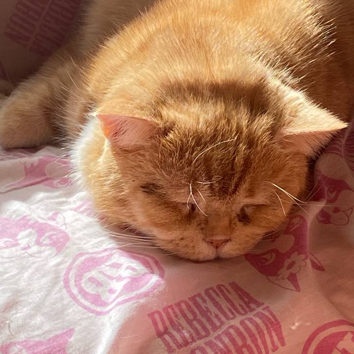 43729b9a 6010 4241 8288 c6632f2ce2be 1644202965316