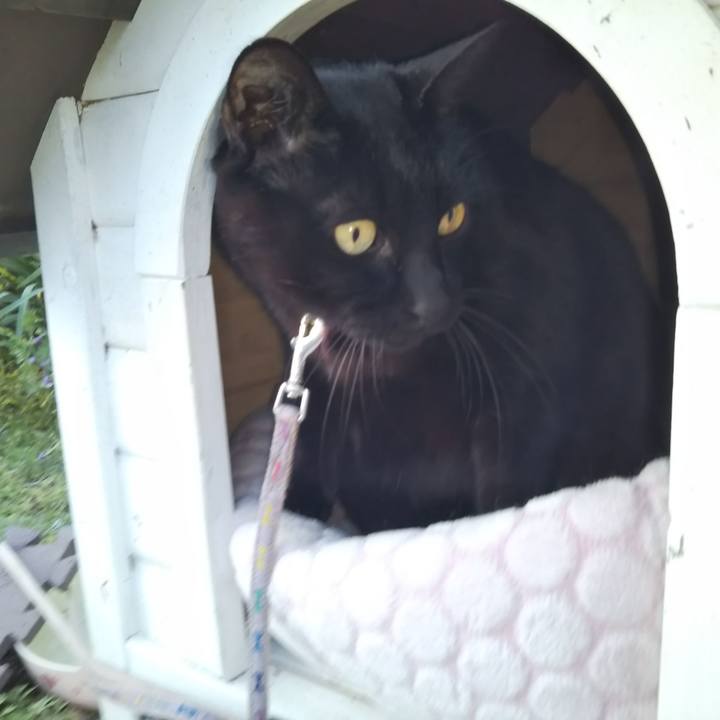 4372aec0 281d 419f 9f67 02569a6ad668 1585835491750