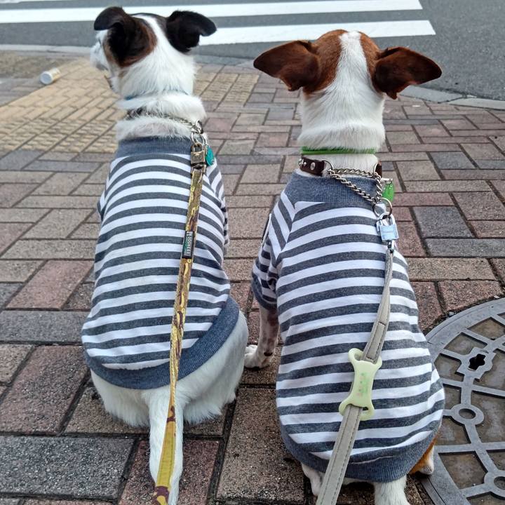 4372b234 239a 4713 9fa6 fb78d5fe7a7e 1659265311150