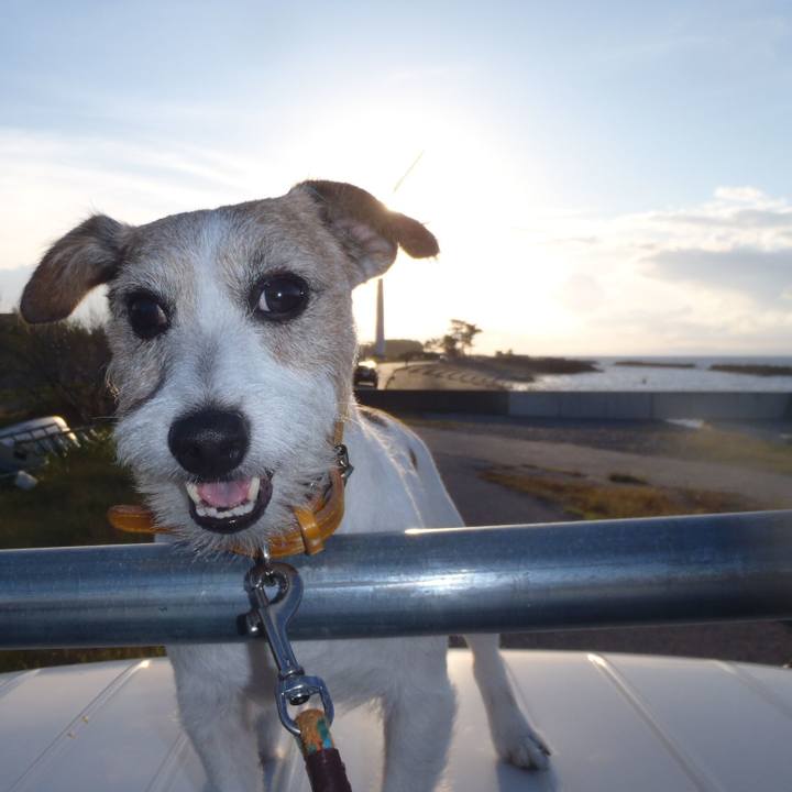 4372d085 bf12 4e05 a03a 2726a4e2d0de 1539691610683