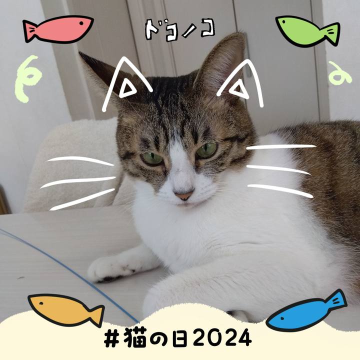 4372ebb2 d799 4ff8 b5dd 9b6a19c3cafb 1708559033066