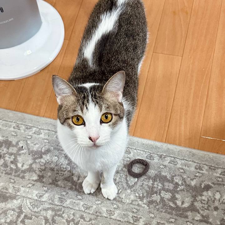 43734f02 f5ca 48cc b047 c891cc425bcc 1777004053465