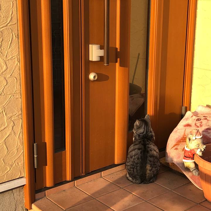 437356f4 9659 4f93 8ece 209123e5ea5f 1520673469815