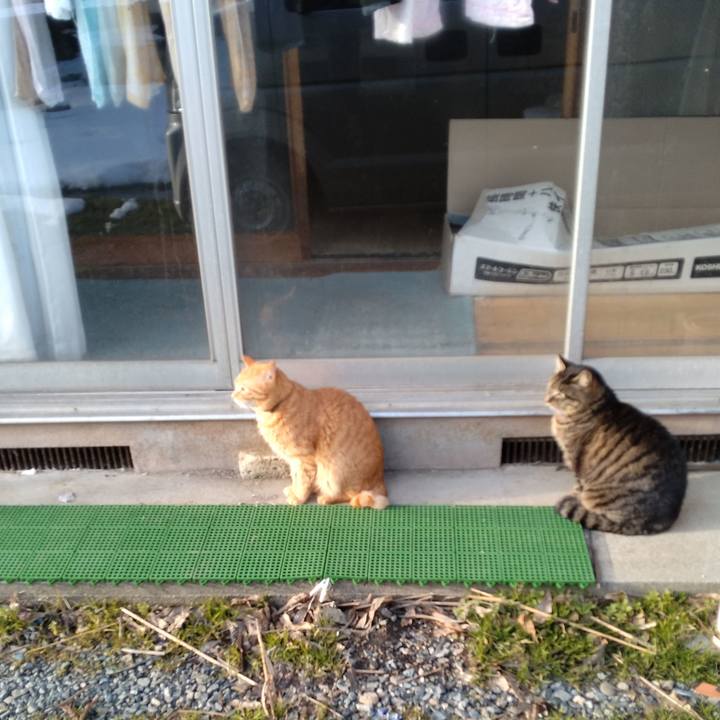 43736f34 2737 4d18 a518 97ae7cc20154 1710057786582