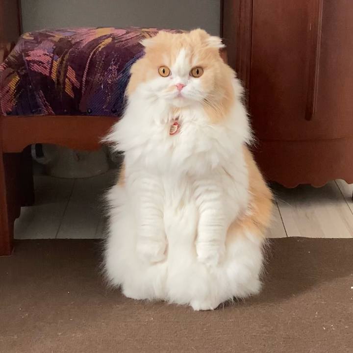 43737bc0 4719 412e 9e66 1caea657db80 1611667153897