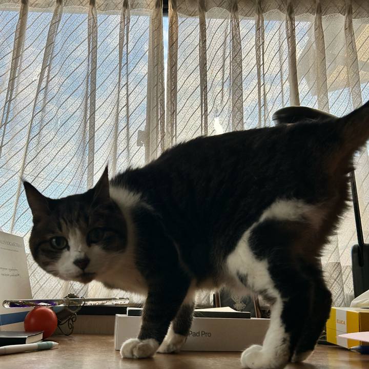 43738d2b 3024 48ef a543 0a385695e376 1766461959704