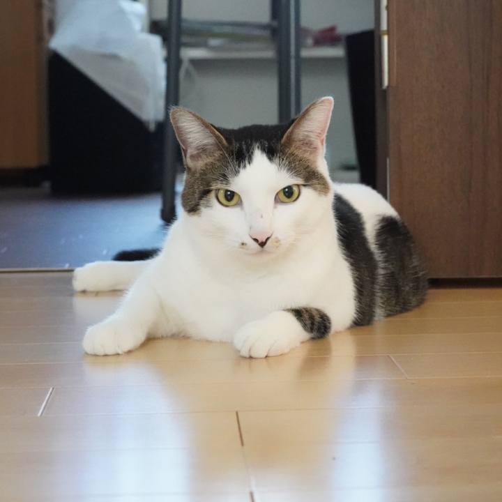 437397f5 5cfe 479a 9f87 ad4147483890 1569802125556