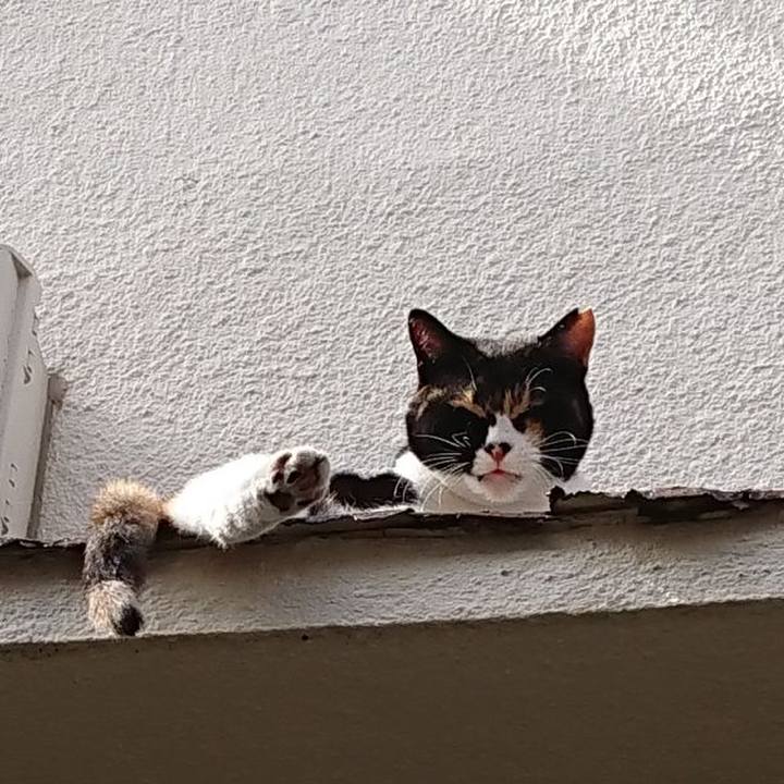 4373d756 1309 4ecc a8e9 dd2a827af0e3 1627342639260