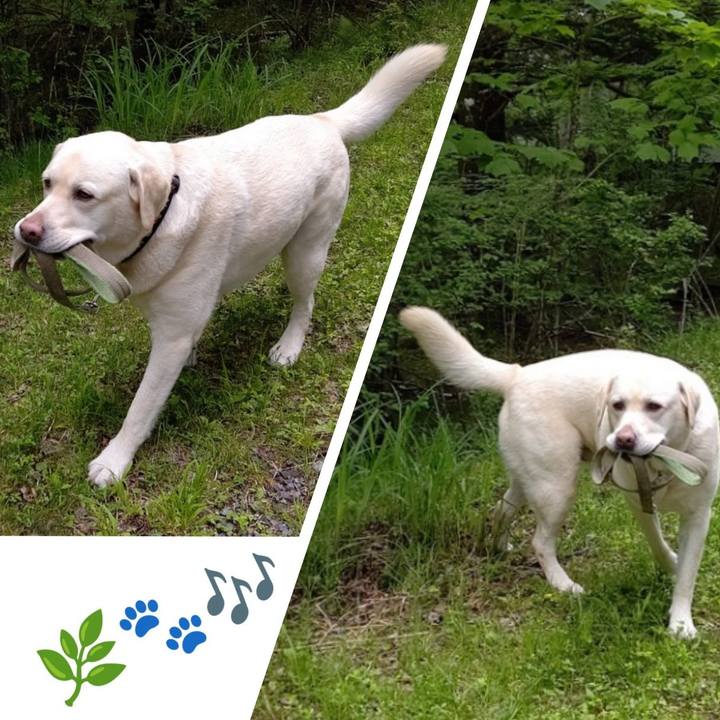 43740e56 15f7 42ea b792 9f0700e145c8 1655013206399