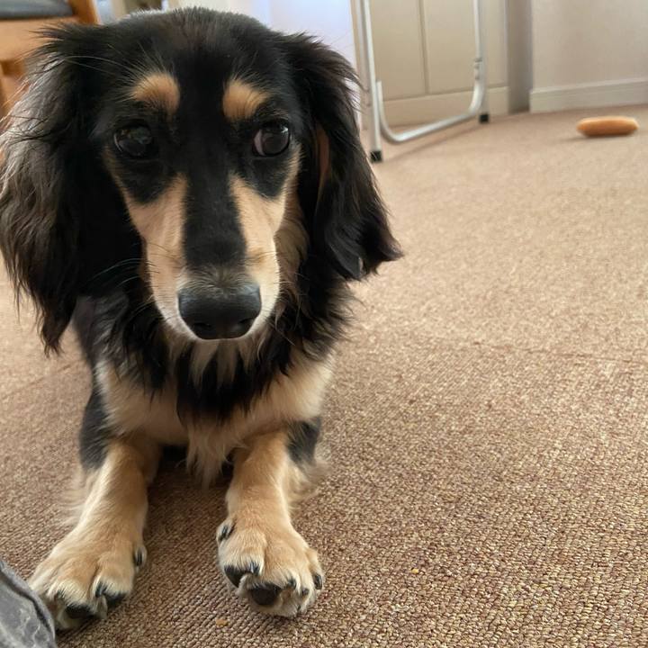 43749620 0018 4c48 ae24 f9dec88374a7 1690417569767