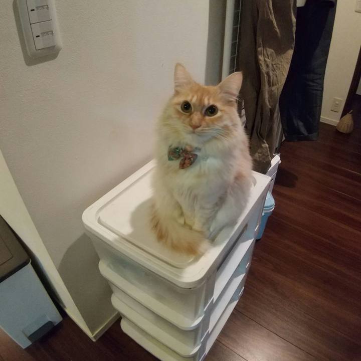 4374a12c 1264 4a63 b3dc 1b4a8f02ceaf 1645394046619