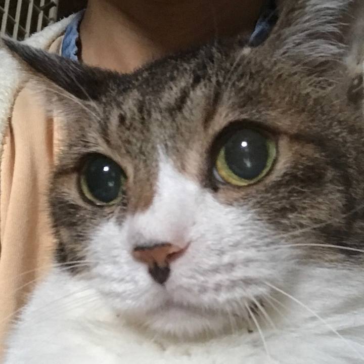 4374a6a7 20b3 4d15 b043 e123b94c6cc8 1566652386124