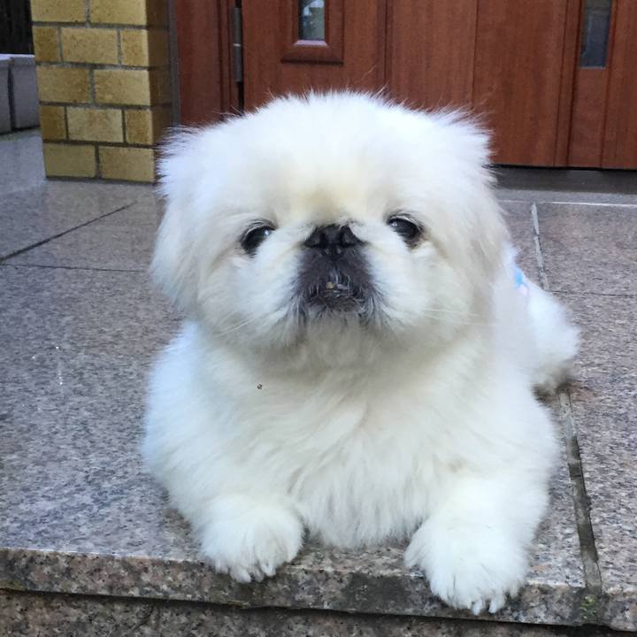 4374ca88 8422 4049 915e e417c26114fe 1509528571070