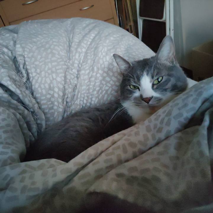 4374f017 0252 45f5 83ff 190fdb8b22db 1710453023926