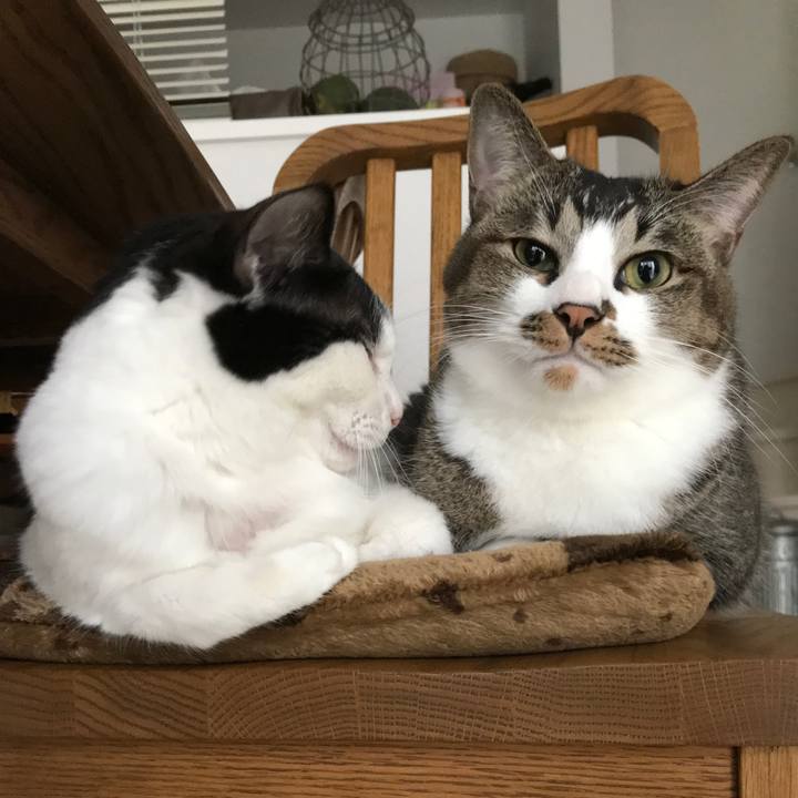 437506be 9e3c 4085 981e fe68f510f069 1542197012609