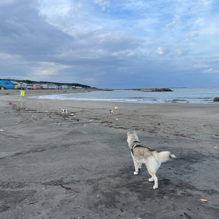 43753270 7a73 4775 bba5 6b516516f9e6 1698017666947